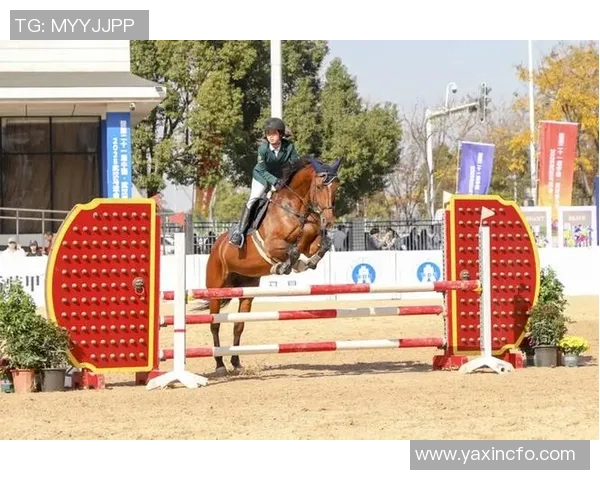 武汉飞盘队荣登全国速度排行榜第二名展现出色竞技实力